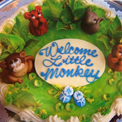 WELCOME LITTLE MONKEY